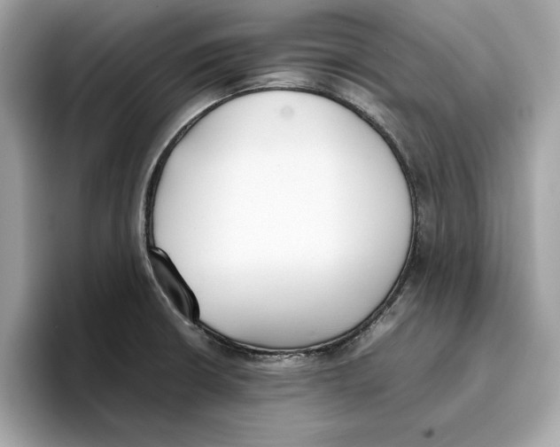 X0000096651426200802261310