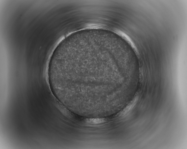 X0000096651427200802261310