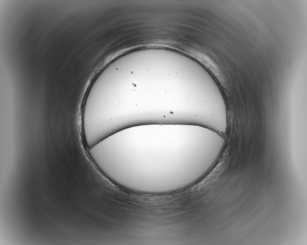 X0000096651428200802261310