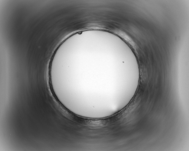 X0000096651431200802261310