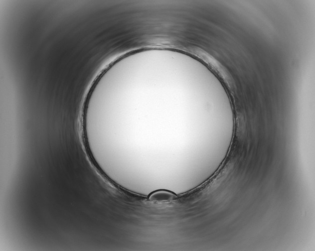 X0000096651432200802261310