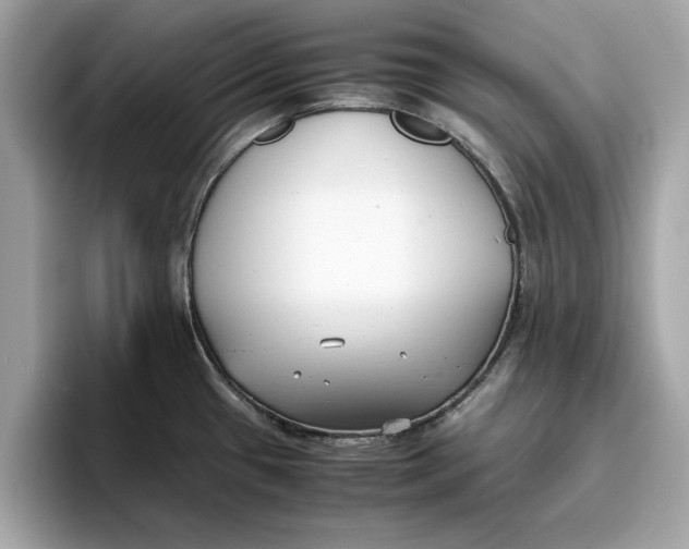 X0000096651433200802261310