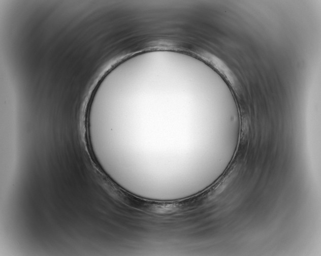 X0000096651435200802261311