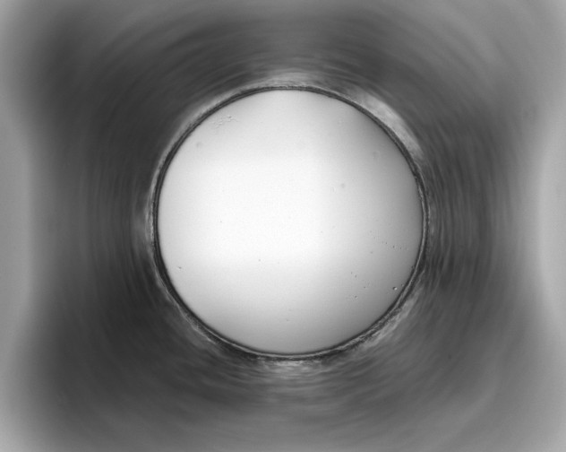 X0000096651436200802261311