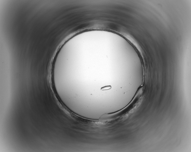 X0000096651437200802261311