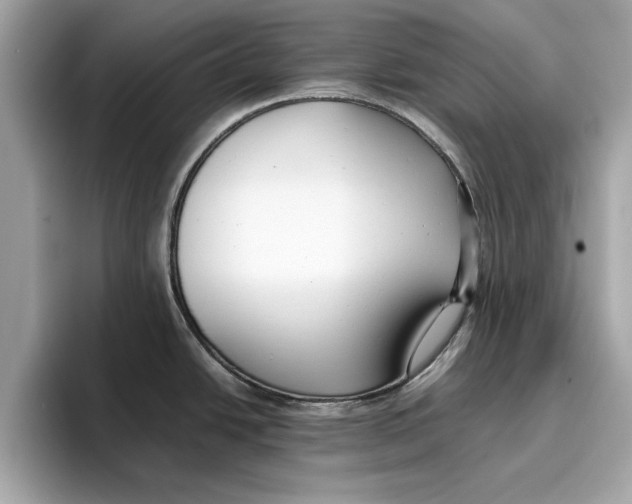 X0000096651438200802261311