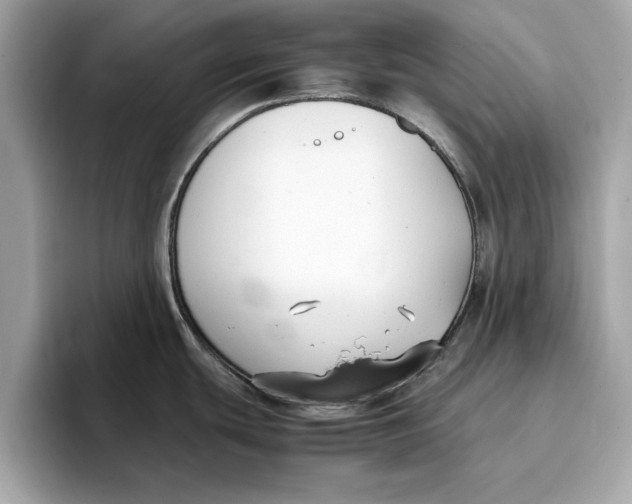 X0000096651439200802261311