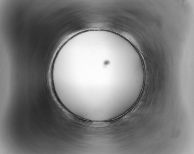 X0000096651440200802261311