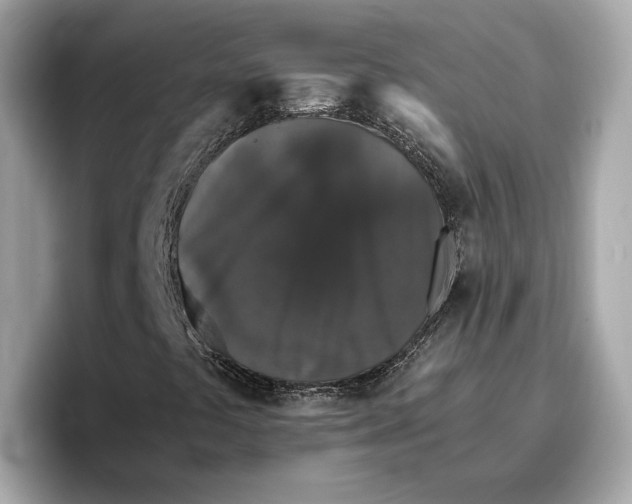 X0000096651441200802261310