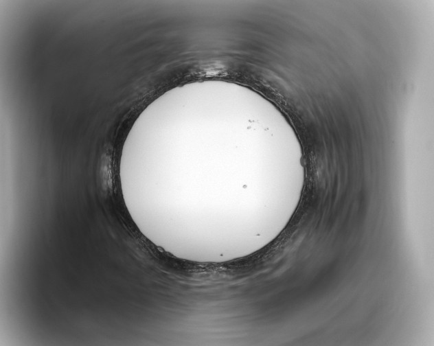 X0000096651442200802261310