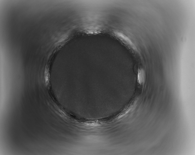 X0000096651444200802261310