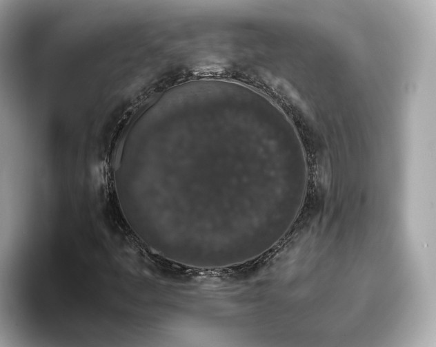 X0000096651445200802261310