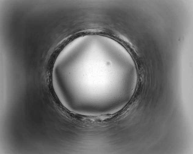 X0000096651448200802261310