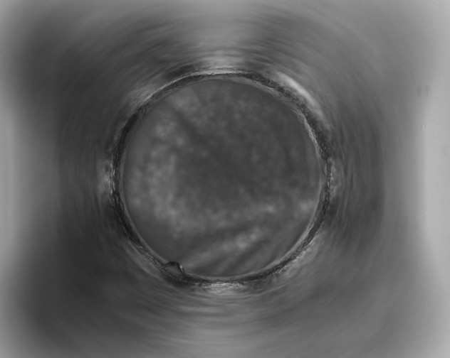 X0000096651449200802261310