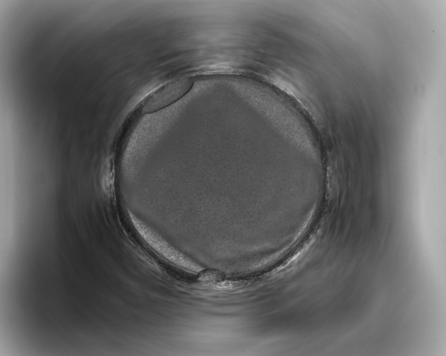 X0000096651450200802261310