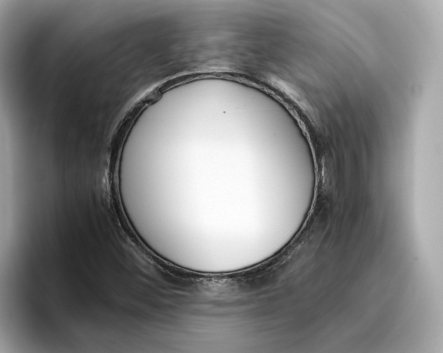 X0000096651452200802261310