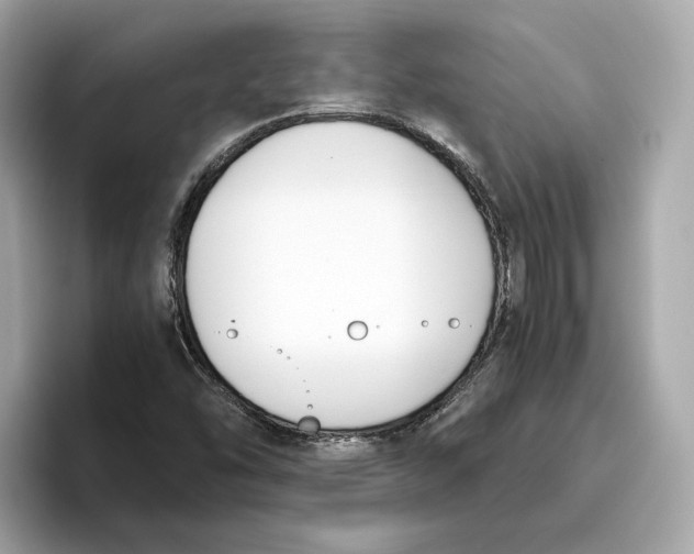 X0000096651454200802261310