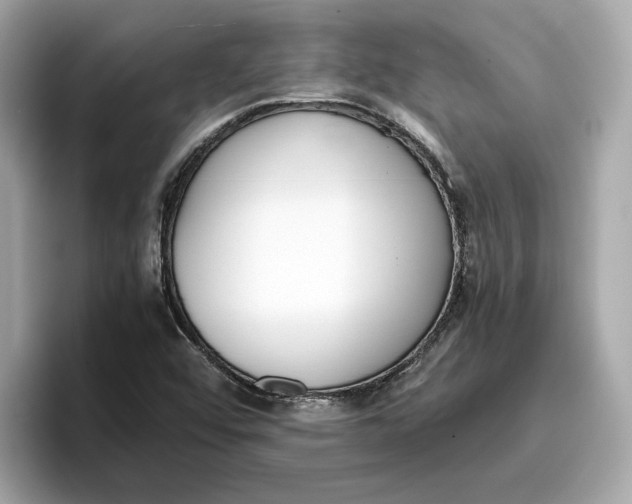 X0000096651456200802261310