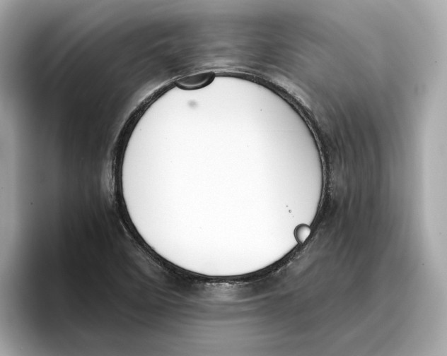 X0000096651458200802261310