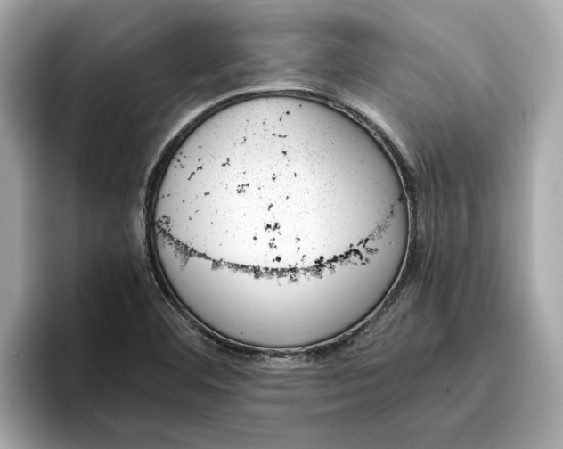 X0000096651460200802261310