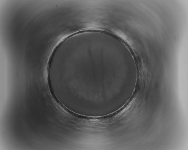 X0000096651463200802261310