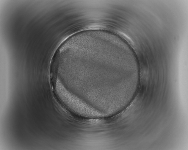 X0000096651465200802261310