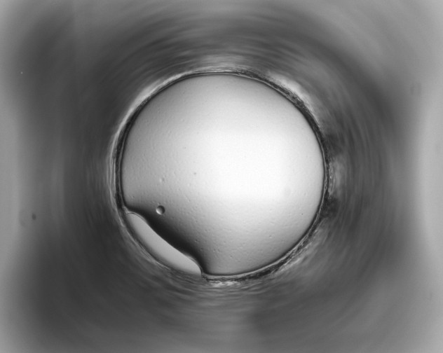 X0000096651467200802261310