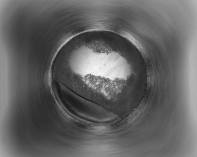 X0000096651468200802261309