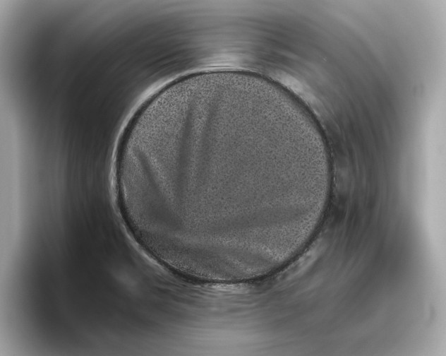 X0000096651469200802261309