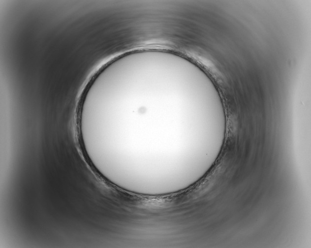 X0000096651470200802261309