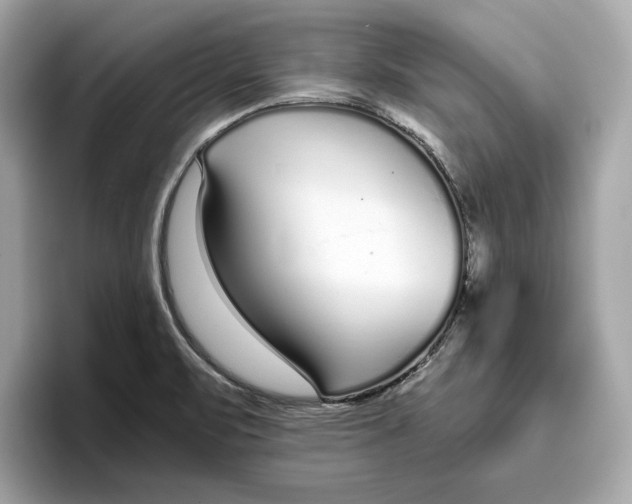 X0000096651471200802261309