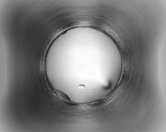 X0000096651473200802261309