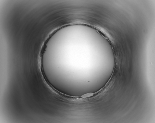 X0000096651476200802261309