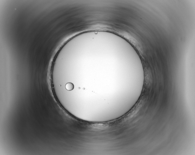 X0000096651478200802261309