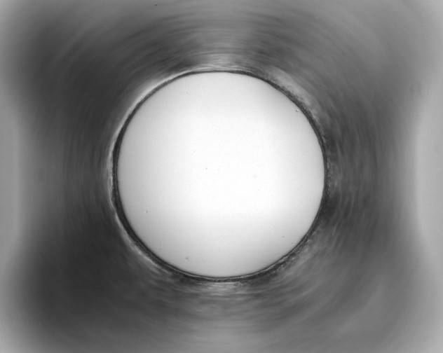 X0000096651479200802261309