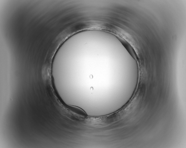 X0000096651481200802261309