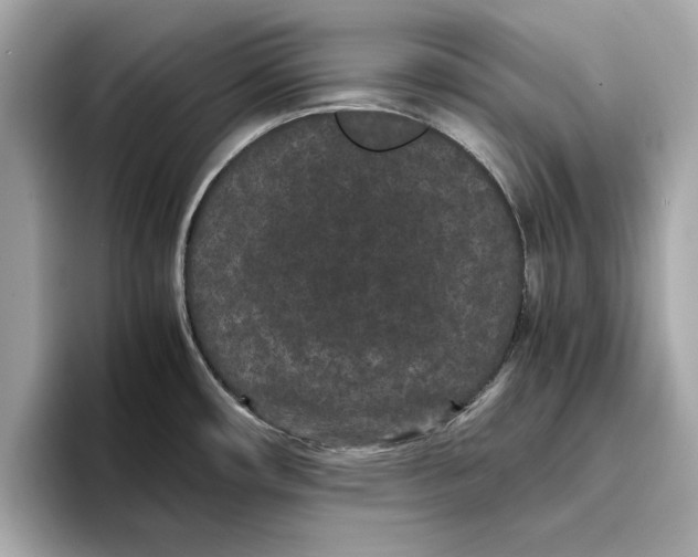 X0000096651482200802261309