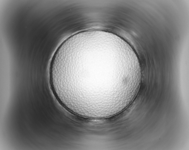 X0000096651483200802261309