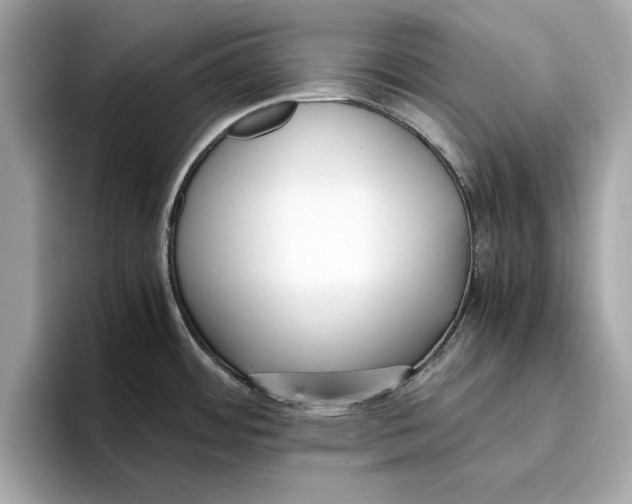 X0000096651484200802261309