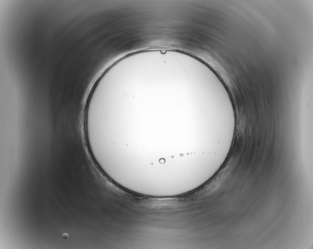 X0000096651486200802261309