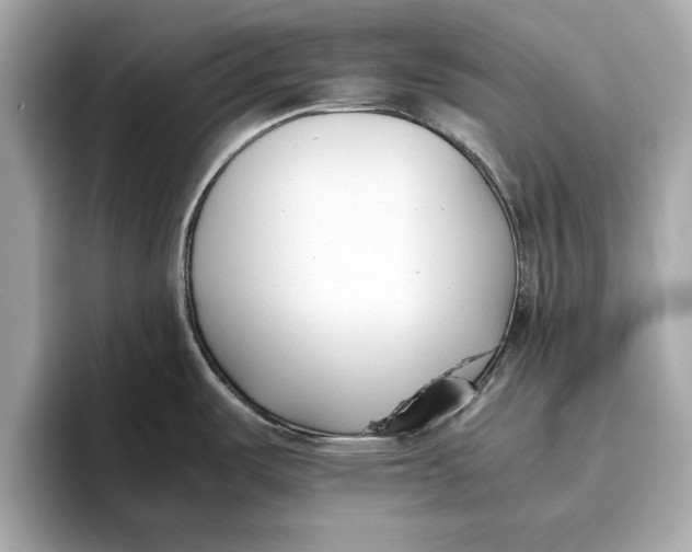 X0000096651487200802261309