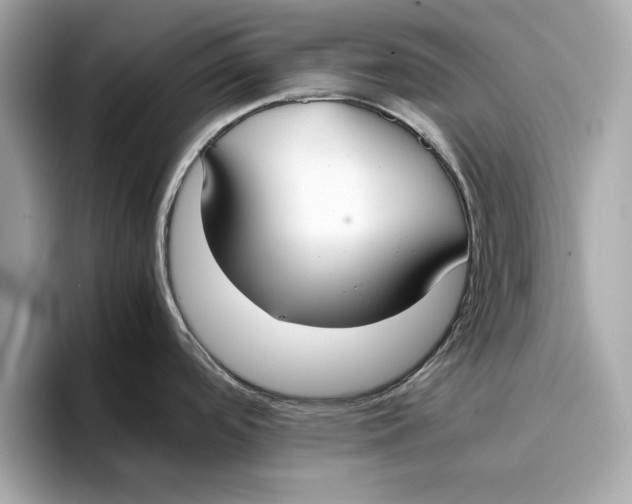 X0000096651488200802261309