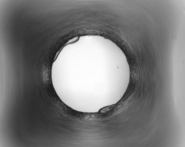 X0000096651490200802261309