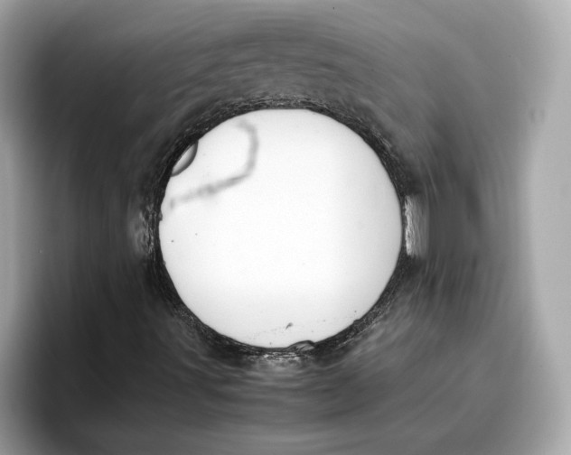 X0000096651491200802261309