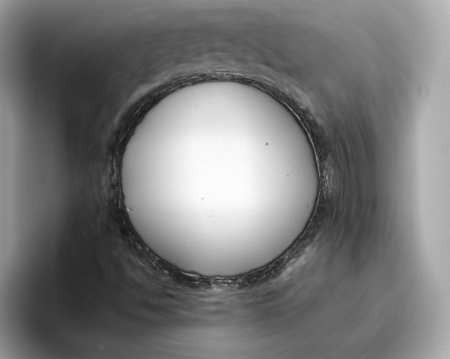 X0000096651494200802261309