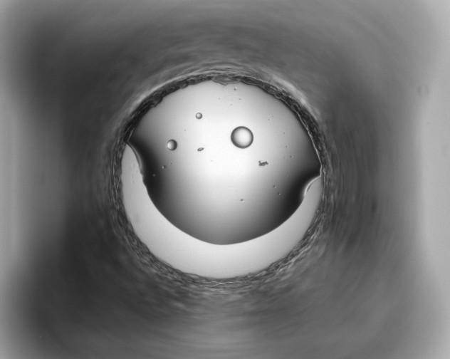 X0000096651496200802261309