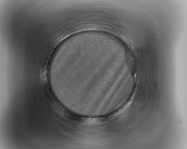 X0000096651497200802261309