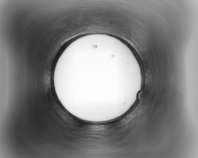 X0000096651499200802261309