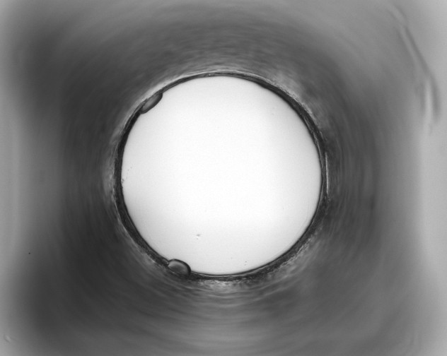 X0000096651500200802261309