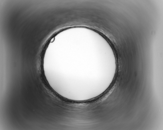 X0000096651502200802261309